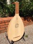 Medieval lute